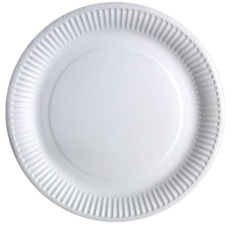 ASSIETTE CARTON Ø180 LES 100