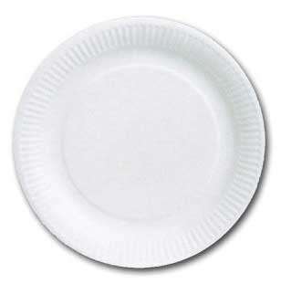 ASSIETTE CARTON BLANC Ø23 LES 500