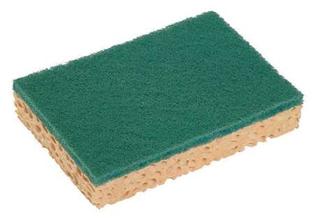 TAMPONGE SPONREX 74 LES 10